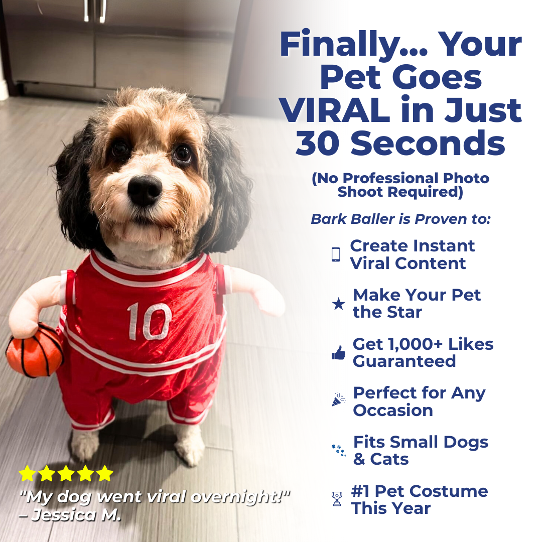 The Basketball Costume That Turns Your Pet Into a Social Media Superstar