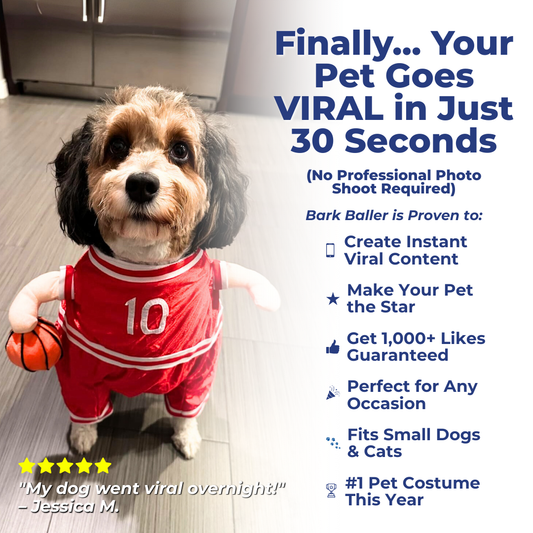 The Basketball Costume That Turns Your Pet Into a Social Media Superstar