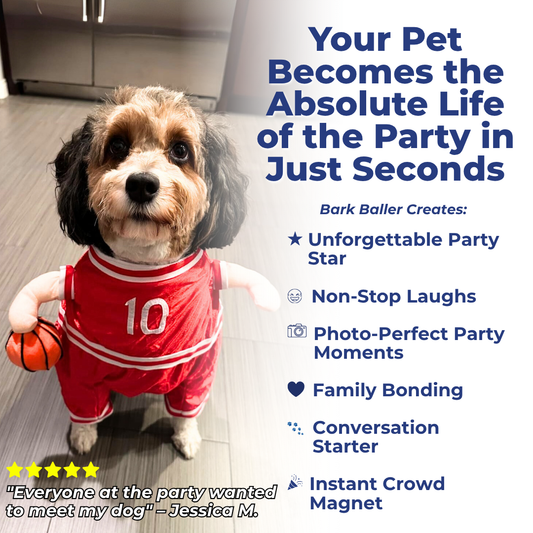 The Hilarious Basketball Costume That Makes Your Pet the Star Everyone's Talking About