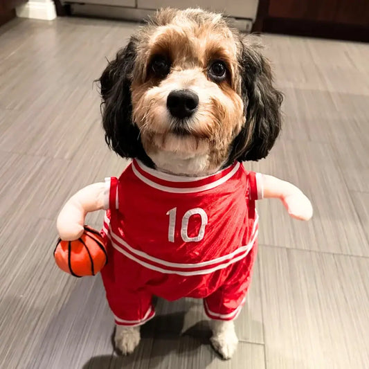 Viral TikTok Dog Basketball Costume